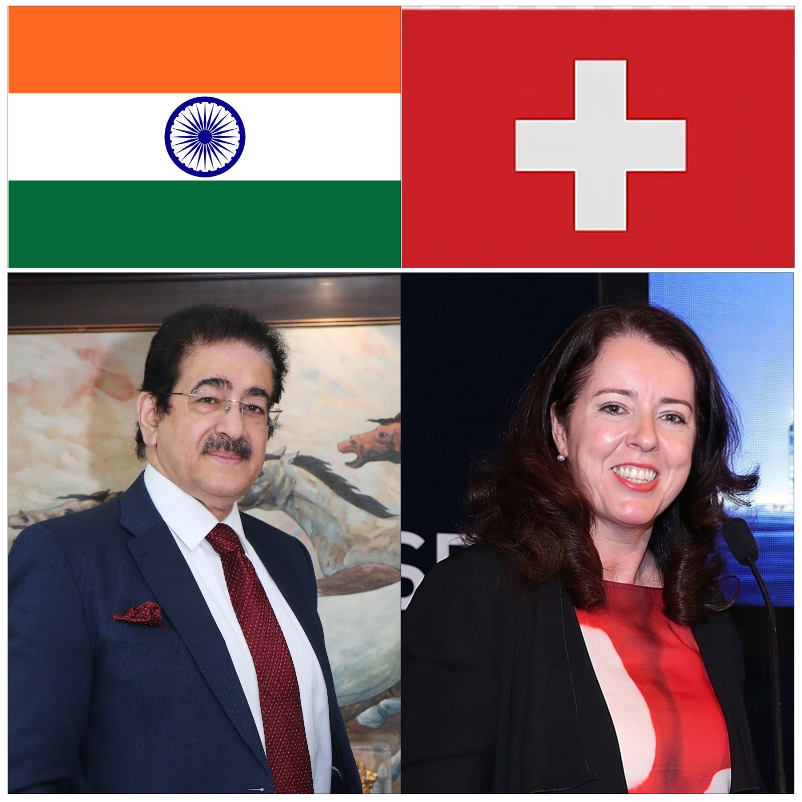 ICMEI Extends Greetings to Switzerland on National Day