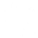 Peace Education