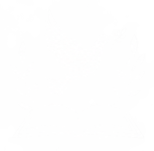 Peace Education